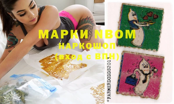 гидра Анива