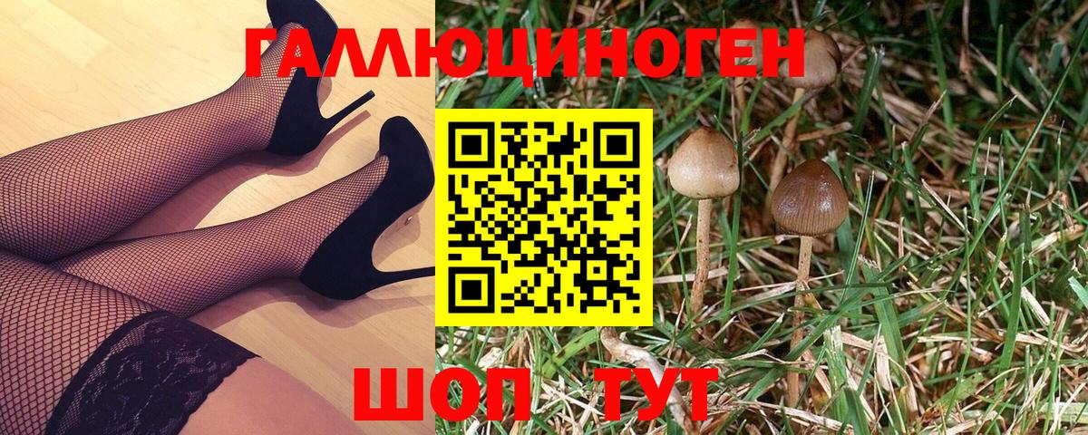 Псилоцибиновые грибы мицелий  Галлюциногенные грибы мухоморы  купить наркотики цена  Елабуга 